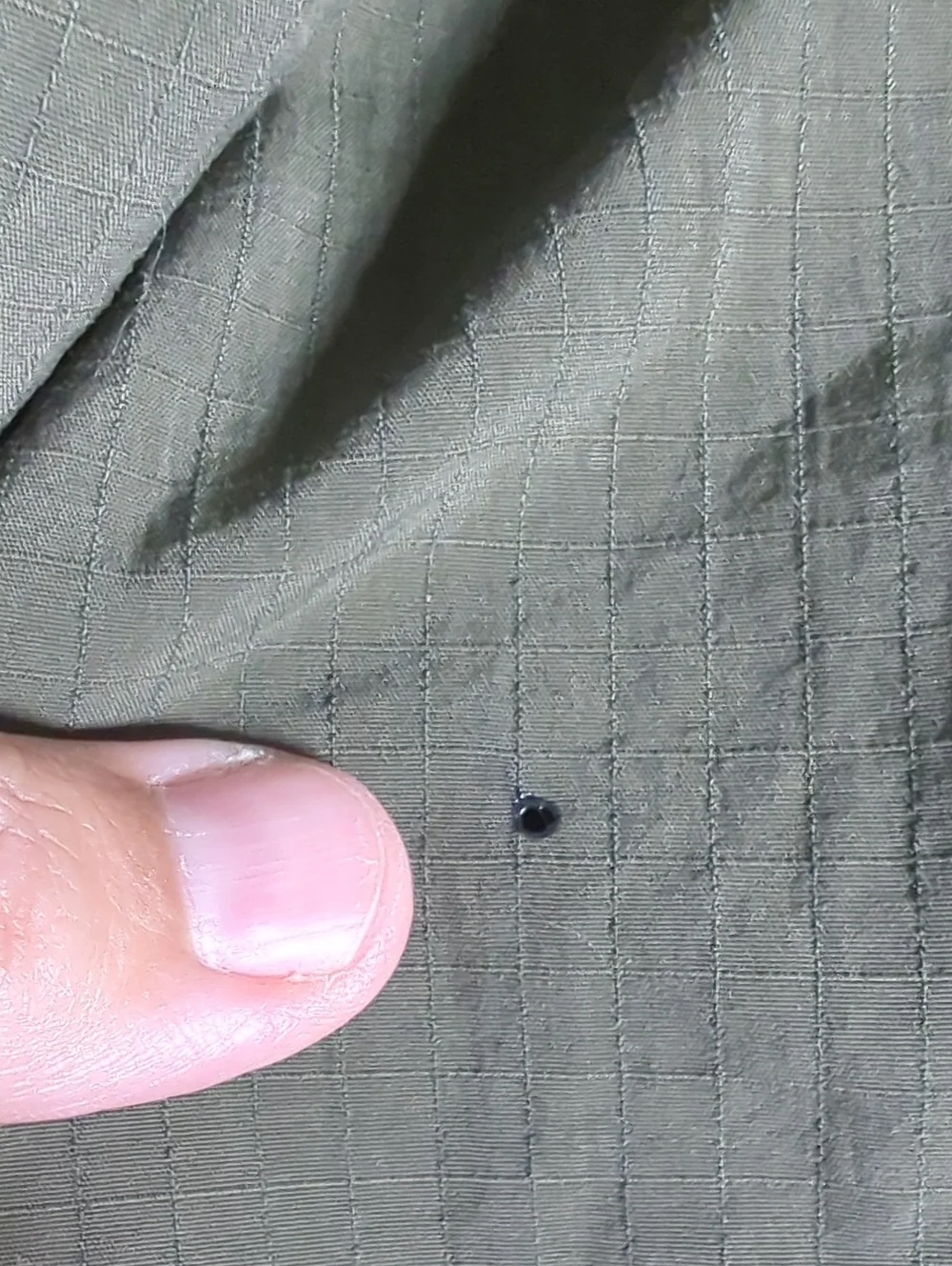 The North Face zip fly